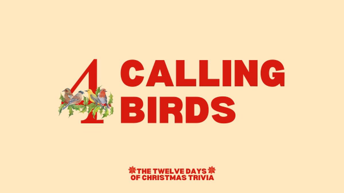 The Twelve Days Of Christmas Trivia image number null